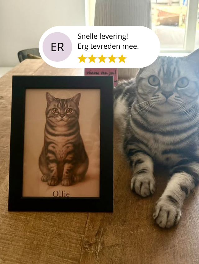 Ollie